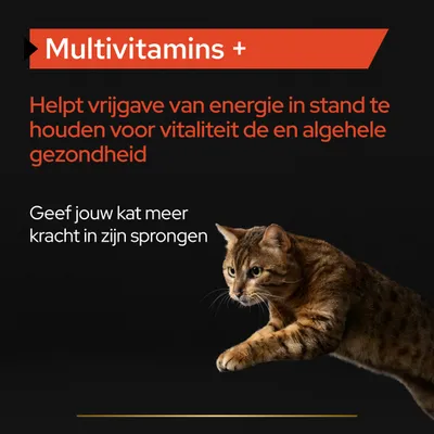 Multivitamins +. Helpt vrijgave van energie in stand te houden voor vitaliteit en algehele gezondheid. Geef jouw kat meer kracht in zijn sprongen.