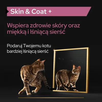 PRO PLAN Cat Adult Skin and Coat+ olejek