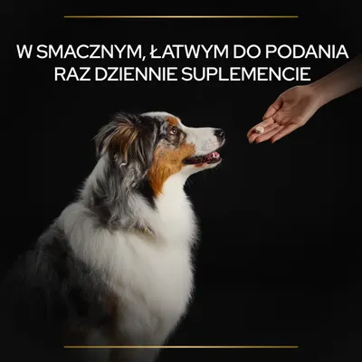 W smacznym, łatwym do podania raz dziennie suplemencie