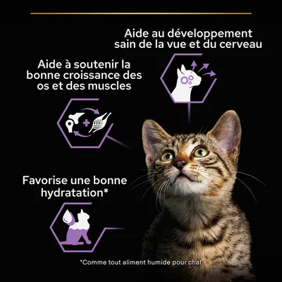 Aide au développement sain de la vue et du cerveau, aide à soutenir la bonne croissance des os et des muscles, favorise une bonne hydratation. Texte en bas : *Comme tout aliment humide pour chat.