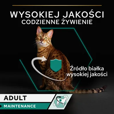 Wysokiej jakości codzienne żywienie. Źródło białka wysokiej jakości. ADULT MAINTENANCE.