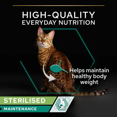 HIGH-QUALITY EVERYDAY NUTRITION, Helps maintain healthy body weight, STERILISED MAINTENANCE feliratok sterilizált macska képével. Az angol szöveg a képen szerepel.