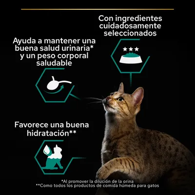 Ayuda a mantener una buena salud urinaria y un peso corporal saludable. Con ingredientes cuidadosamente seleccionados. Favorece una buena hidratación. Imagen de un gato.