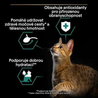 Obsahuje antioxidanty pro přirozenou obranyschopnost, pomáhá udržovat zdravé močové cesty a tělesnou hmotnost, podporuje dobrou hydrataci. Obrázek kočky.