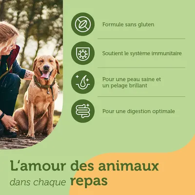 Formule sans gluten, soutient le système immunitaire, pour une peau saine et un pelage brillant, pour une digestion optimale. L’amour des animaux dans chaque repas.