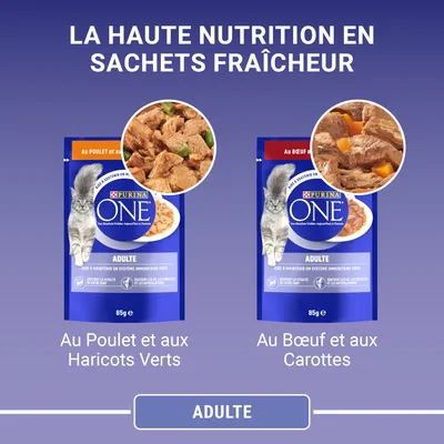 Plicuri Purina ONE Adulte 85g pentru pisici: la stânga cu pui și fasole verde, la dreapta cu vită și morcovi. Text vizibil în franceză: La haute nutrition en sachets fraîcheur.