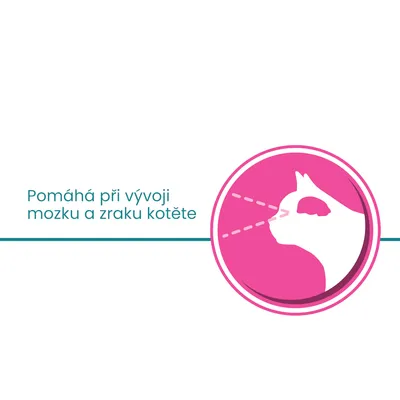 Pomáhá při vývoji mozku a zraku kotěte
