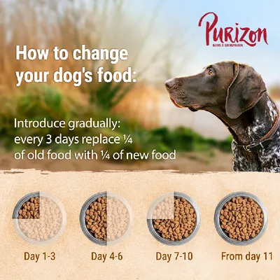 Guide showing how to change dog food: every 3 days, replace a quarter of old food with new food. Visual steps for days 1-3, 4-6, 7-10, and from day 11.