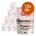 Икономична опаковка Purizon Organic в паучове 12 x 85 г