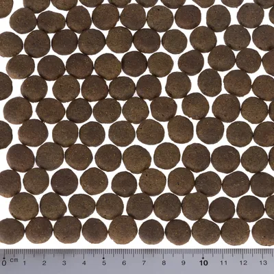 Close-up van bruine, ronde brokjes droogvoer met een schaal in centimeters voor maatbepaling.