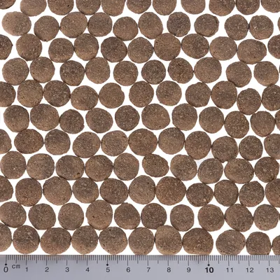 Close-up van bruine, ronde brokjes droogvoer met een liniaal onderaan voor maatweergave in centimeters.