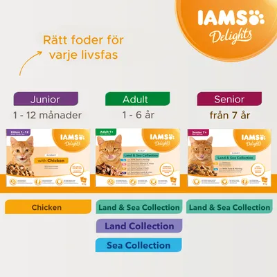 IAMS Delights kattmat för Junior 1–12 månader (with Chicken), Adult 1–6 år (Land & Sea Collection) och Senior från 7 år (Land & Sea Collection). Rätt foder för varje livsfas.