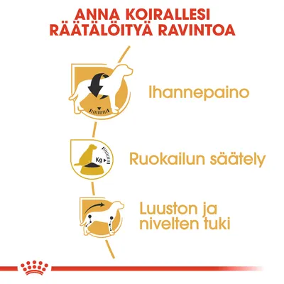 Anna koirallesi räätälöityä ravintoa: ihannepaino, ruokailun säätely, luuston ja nivelten tuki. Kaikki teksti suomeksi.