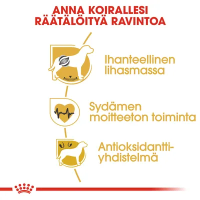 ANNA KOIRALLESI RÄÄTÄLÖITYÄ RAVINTOA. Ihanteellinen lihasmassa, sydämen moitteeton toiminta, antioksidanttiyhdistelmä.