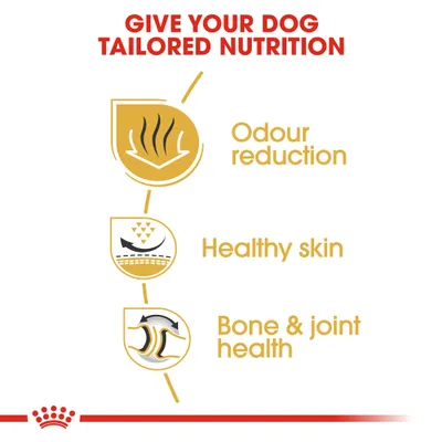Give your dog tailored nutrition. Odour reduction, healthy skin, bone & joint health.