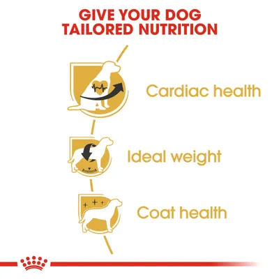 Teksti: GIVE YOUR DOG TAILORED NUTRITION. Cardiac health, Ideal weight, Coat health. Kolme koiran siluettia ja kuvakkeet sydän, vaaka ja turkki.