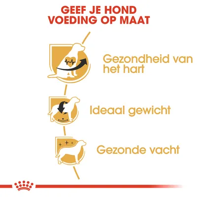 Geef je hond voeding op maat. Gezondheid van het hart, ideaal gewicht, gezonde vacht.