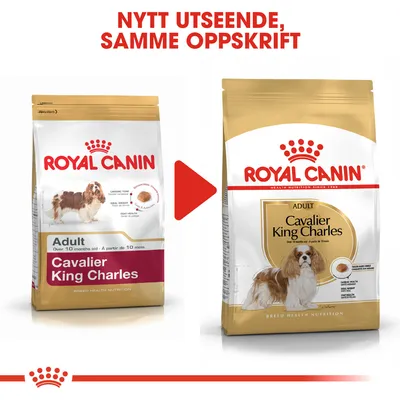 Royal Canin Cavalier King Charles Adult