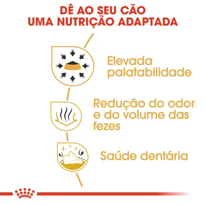 Dê ao seu cão uma nutrição adaptada: elevada palatabilidade, redução do odor e do volume das fezes, saúde dentária.