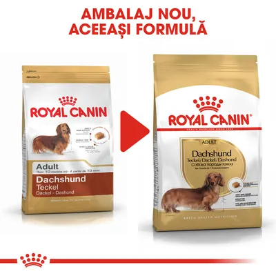 Imagine cu două pungi de hrană uscată Royal Canin Dachshund Adult, vechiul și noul ambalaj. Text sus: „Ambalaj nou, aceeași formulă”.