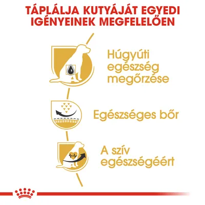 Táplálja kutyáját egyedi igényeinek megfelelően: húgyúti egészség megőrzése, egészséges bőr, a szív egészségéért.