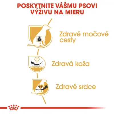 POSKYTNITE VÁŠMU PSOVI VÝŽIVU NA MIERU. Zdravé močové cesty, zdravá koža, zdravé srdce – grafické ikony psa a symbolov orgánov.