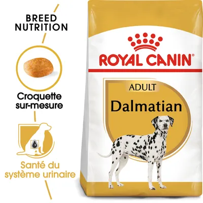 Royal Canin Dalmatien Adult pour chien