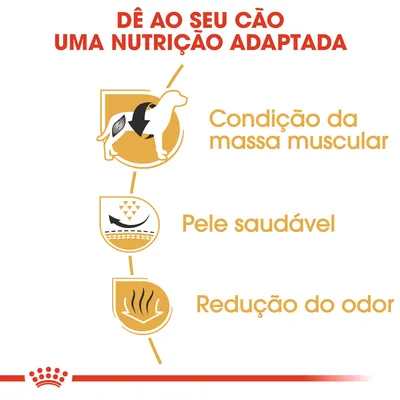Dê ao seu cão uma nutrição adaptada: condição da massa muscular, pele saudável, redução do odor. Texto e ícones ilustrativos em destaque.