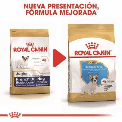 Cambio de presentación y fórmula mejorada de Royal Canin French Bulldog para cachorros. Se muestra el envase anterior 'Junior' y el nuevo 'Puppy', ambos con imagen de bulldog francés.