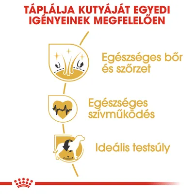 Táplálja kutyáját egyedi igényeinek megfelelően. Egészséges bőr és szőrzet, egészséges szívműködés, ideális testsúly.