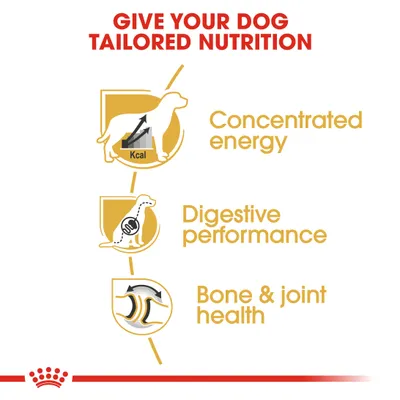 Concentrated energy, digestive performance, and bone and joint health are highlighted as tailored nutrition benefits for dogs.