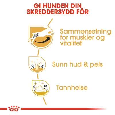 Royal Canin Jack Russell Terrier Adult