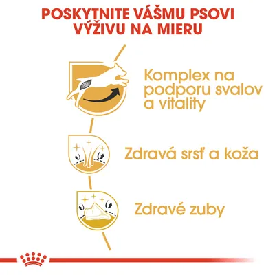 Komplex na podporu svalov a vitality, zdravá srsť a koža, zdravé zuby. Poskytnite vášmu psovi výživu na mieru.