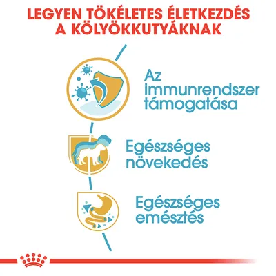 Legyen tökéletes életkezdés a kölyökkutyáknak. Az immunrendszer támogatása, egészséges növekedés, egészséges emésztés.