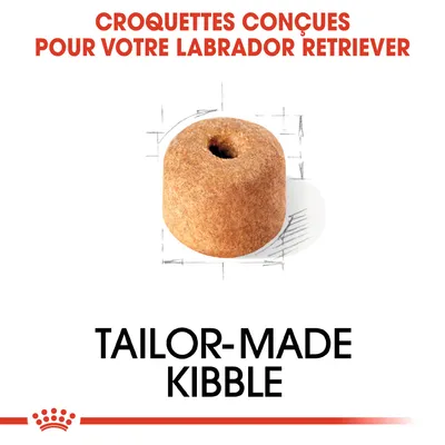 Croquettes conçues pour votre Labrador Retriever, visuel d'une croquette ronde avec trou central. Texte en anglais : Tailor-made kibble.