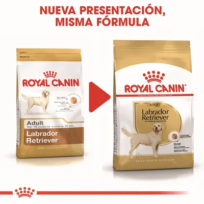 Dos sacos de pienso Royal Canin Adult Labrador Retriever con diferente diseño. Texto: 'Nueva presentación, misma fórmula'. Imagen de un labrador y croqueta en ambos envases.