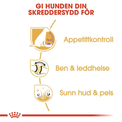 Royal Canin Labrador Retriever Adult Sterilised