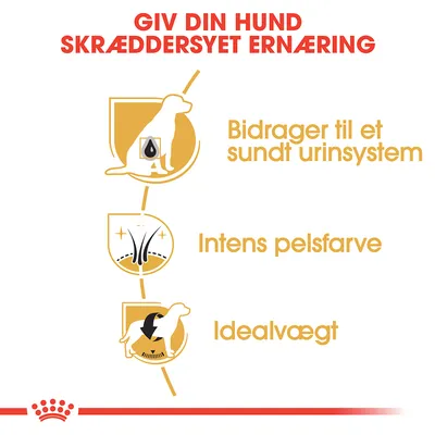 Giv din hund skræddersyet ernæring. Bidrager til et sundt urin­system, intens pelsfarve, idealvægt.