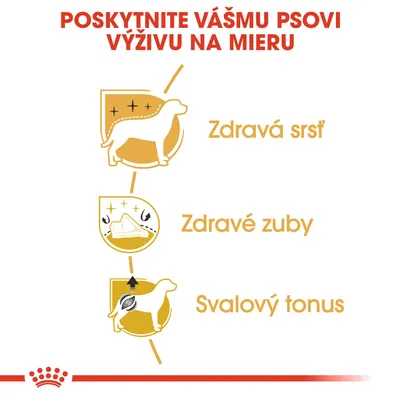 Poskytnite vášmu psovi výživu na mieru. Zdravá srsť, zdravé zuby, svalový tonus – grafické znázornenie benefitov pre psa.
