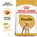Royal Canin Poodle Adult