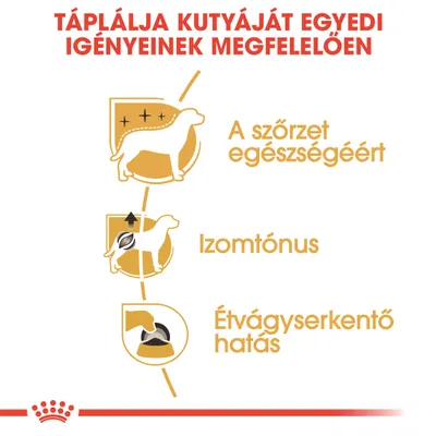 Táplálja kutyáját egyedi igényeinek megfelelően: a szőrzet egészségéért, izomtónus, étvágyserkentő hatás.