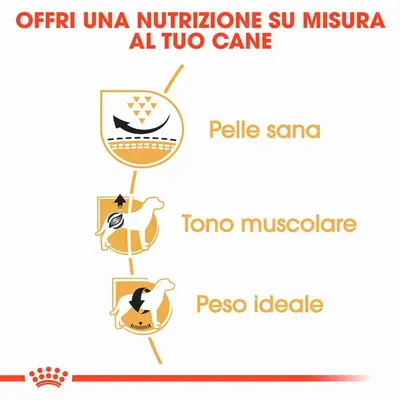 Offri una nutrizione su misura al tuo cane. Pelle sana, tono muscolare, peso ideale.