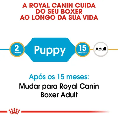 A Royal Canin cuida do seu Boxer ao longo da sua vida. Puppy dos 2 aos 15 meses. Após os 15 meses: mudar para Royal Canin Boxer Adult.