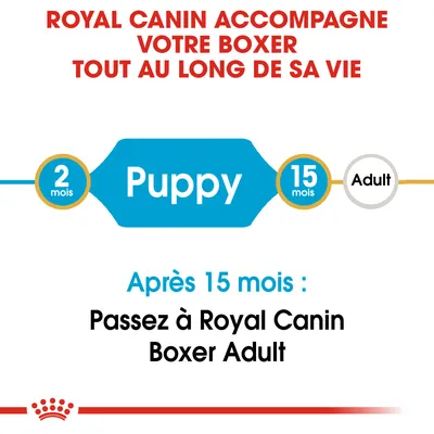 Royal Canin accompagne votre Boxer tout au long de sa vie. Puppy 2–15 mois, Adult après 15 mois. Passez à Royal Canin Boxer Adult après 15 mois.