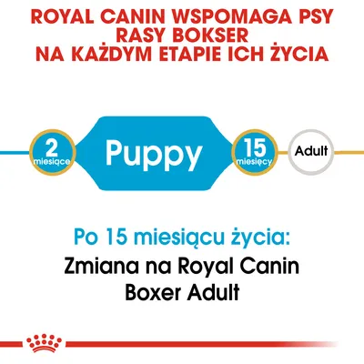 Royal Canin wspomaga psy rasy bokser na każdym etapie życia. Puppy od 2 do 15 miesięcy, po 15 miesiącu zmiana na Royal Canin Boxer Adult.