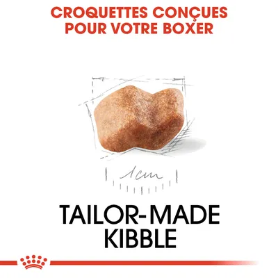 Croquettes conçues pour votre Boxer, Tailor-made kibble, croquette illustrée avec indication 1 cm. Texte partiellement en anglais.