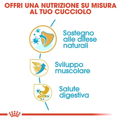 Offri una nutrizione su misura al tuo cucciolo. Sostegno alle difese naturali, sviluppo muscolare, salute digestiva.