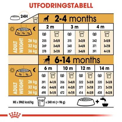 Utfodringstabell för hundar 2–14 månader, vuxenvikt 26, 32 eller 36 kg. Anger daglig mängd i gram och koppar per ålder. 1 kopp = 240 ml (≈96 g). ME = 3962 kcal/kg.