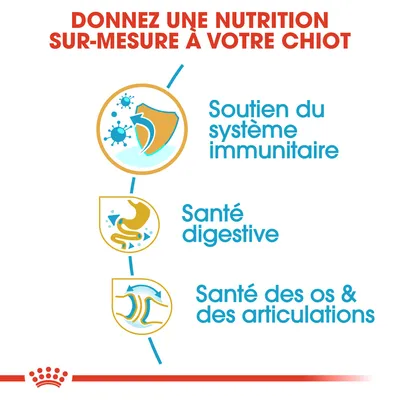 Donnez une nutrition sur-mesure à votre chiot : soutien du système immunitaire, santé digestive, santé des os & des articulations. Texte en français (fr_BE).