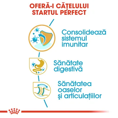 OFERĂ-I CĂȚELULUI STARTUL PERFECT. Consolidează sistemul imunitar, Sănătate digestivă, Sănătatea oaselor și articulațiilor.